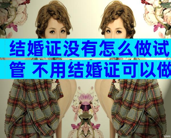 结婚证没有怎么做试管 不用结婚证可以做试管吗